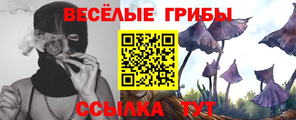 Галлюциногенные грибы Cubensis  Вход с VPN  Нефтекамск 